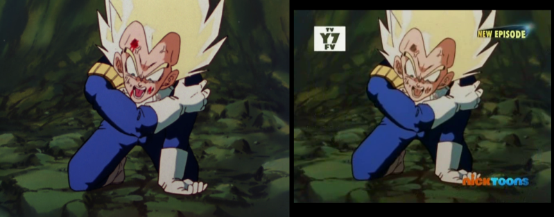 18 x vegeta